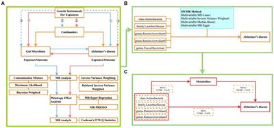 Genetic prediction of blood metabolites mediating the relationship between gut microbiota and Alzheimer’s disease: a Mendelian randomization study